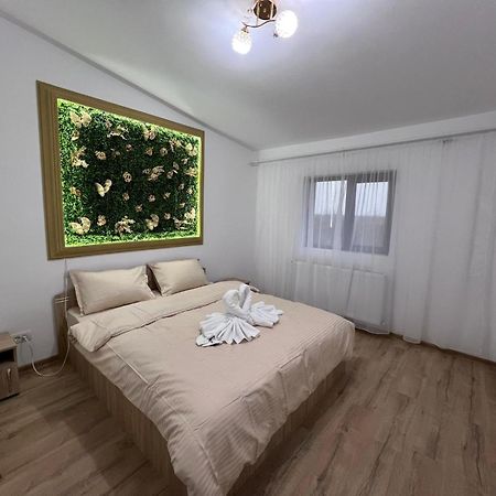 Casa Privata Airport Bucharest Therme Bucharest Balotesti Luaran gambar